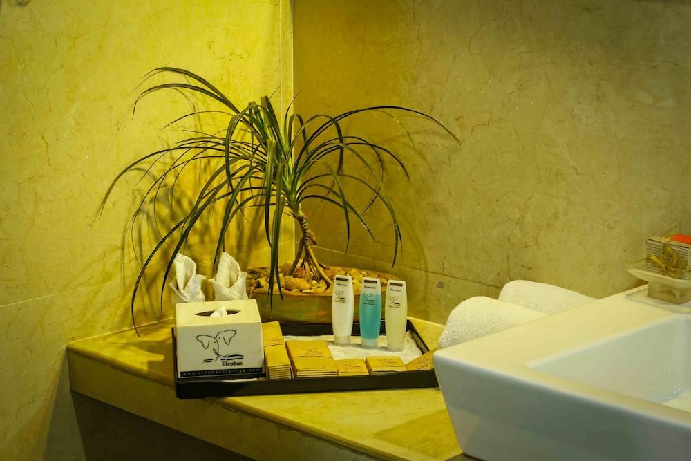 Elephas Resort Σιγκιρίγια Εξωτερικό φωτογραφία